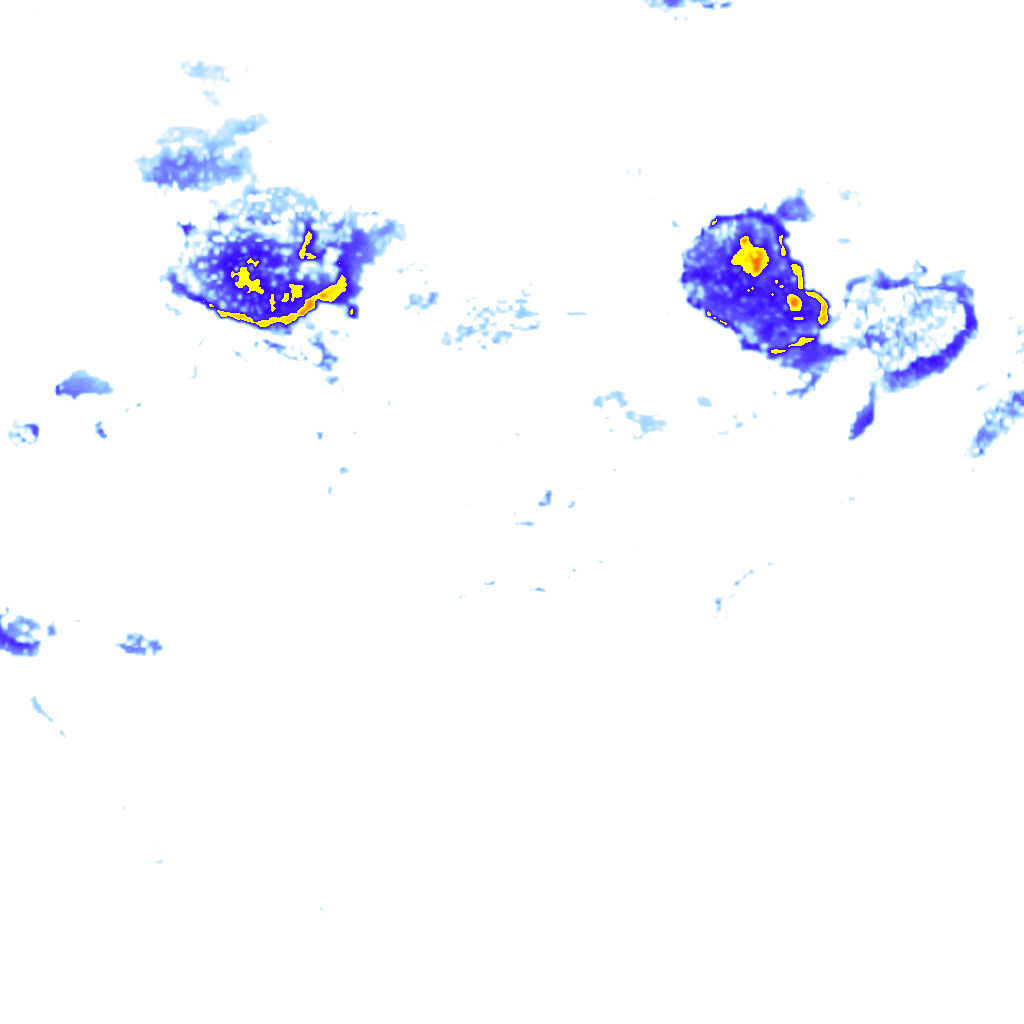 Image Layer