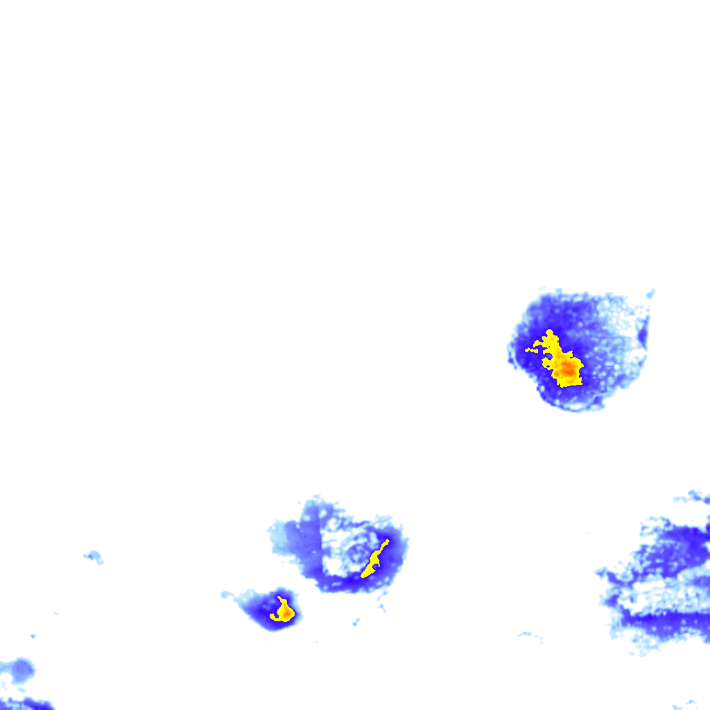 rainLayer