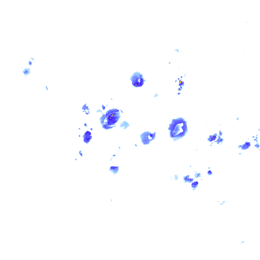 rainLayer