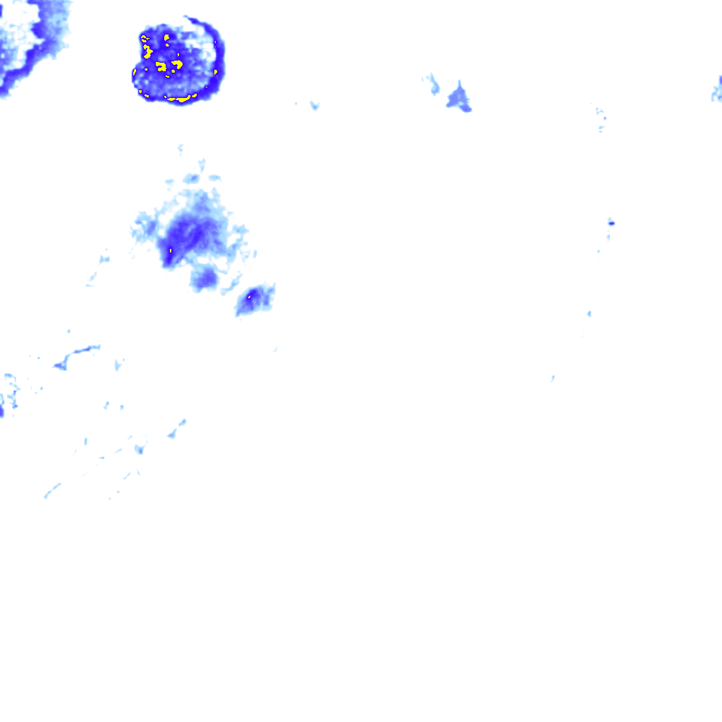 rainLayer