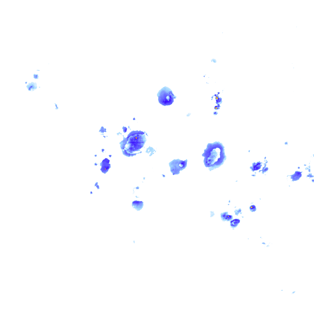 rainLayer