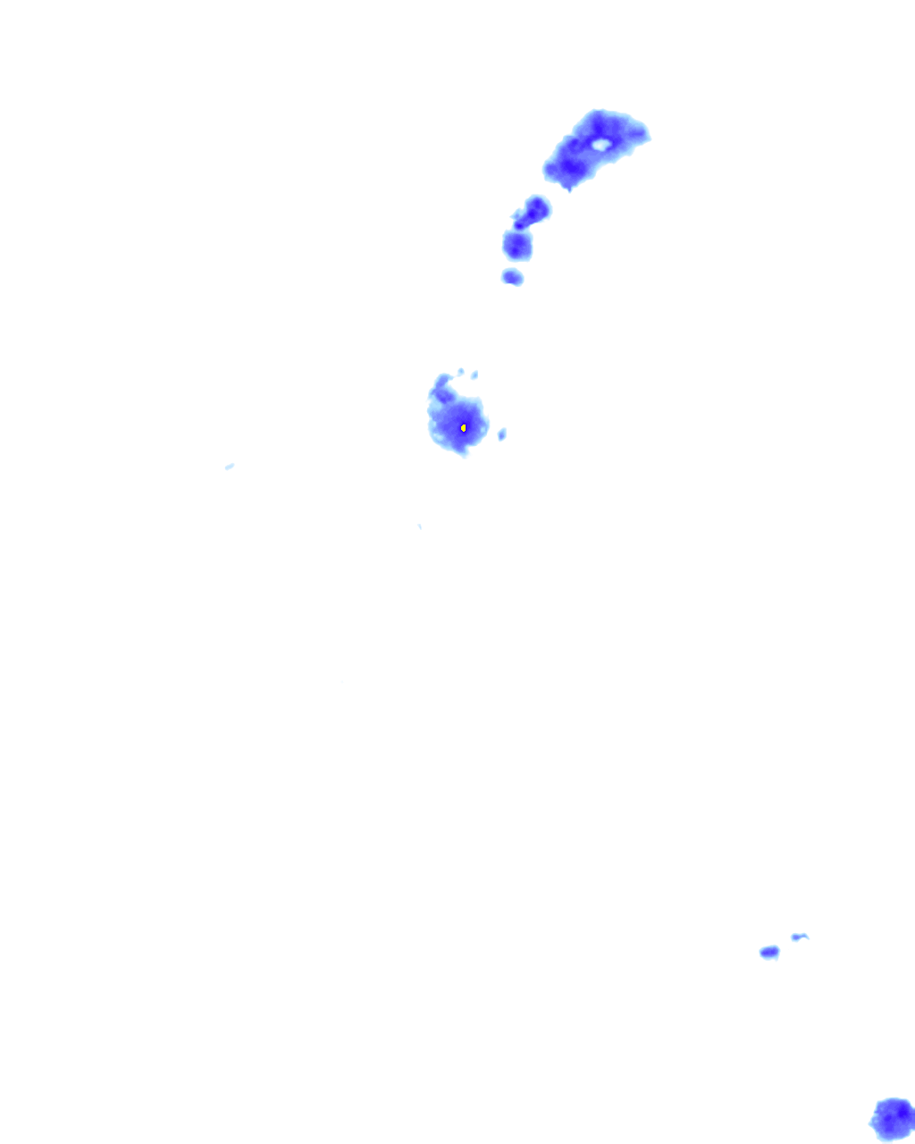 rainLayer