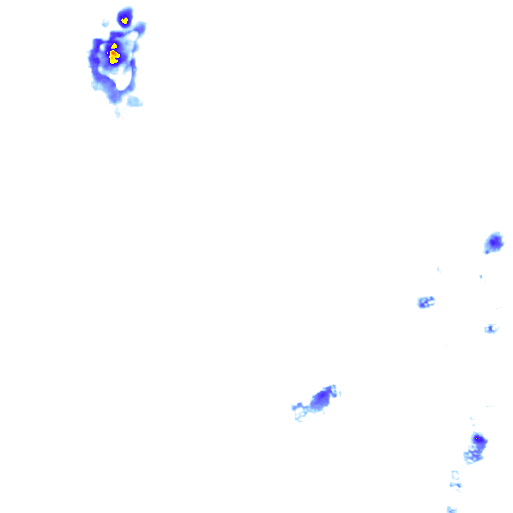 Image Layer