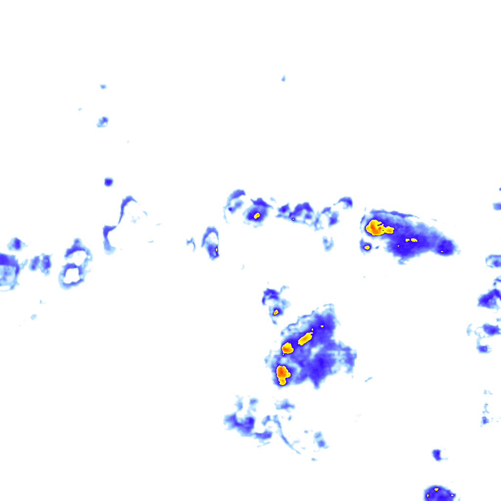 rainLayer