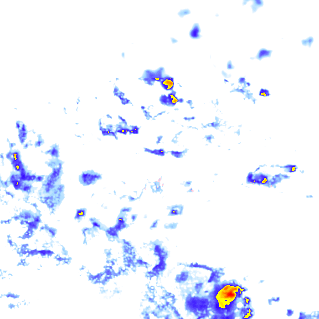 rainLayer