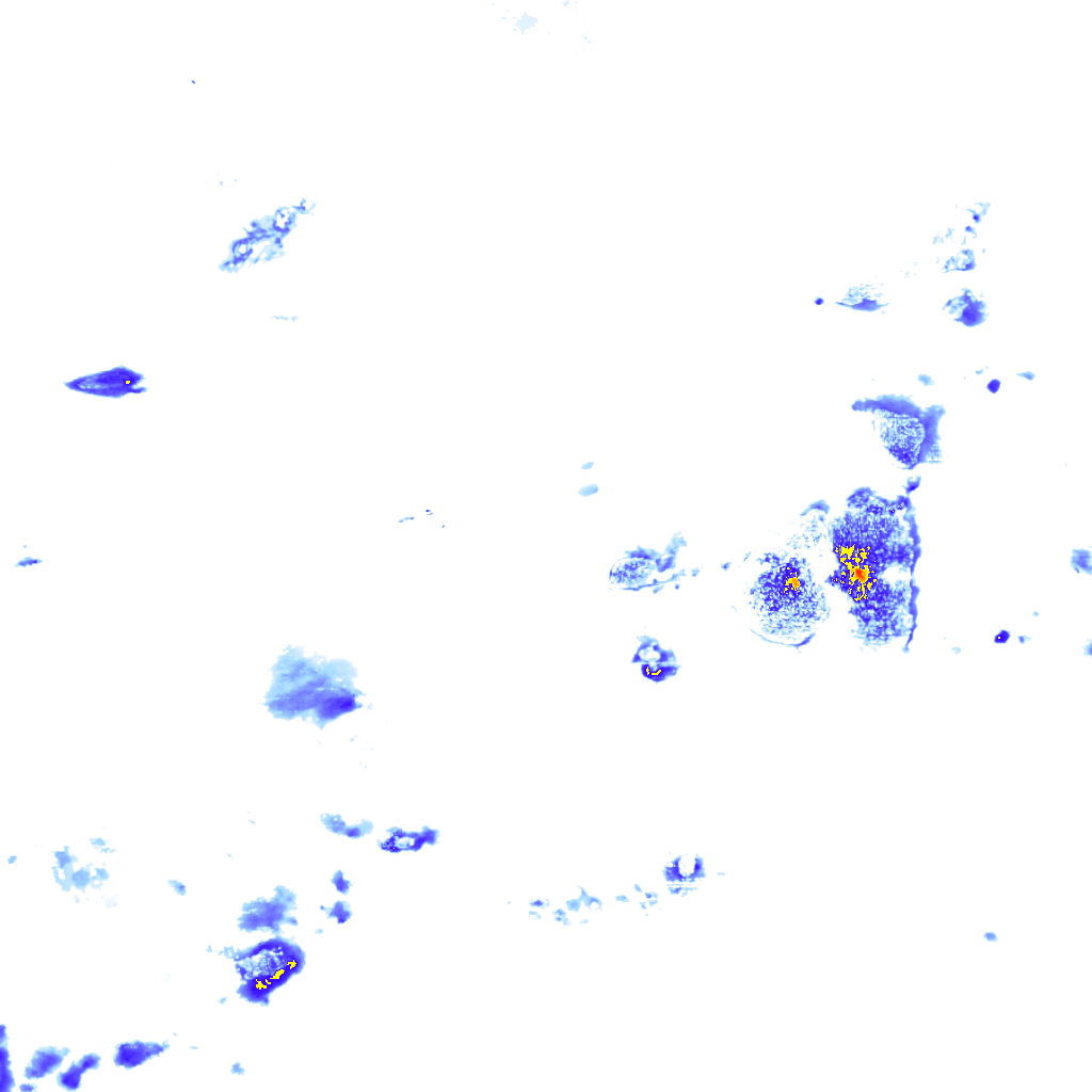 Image Layer