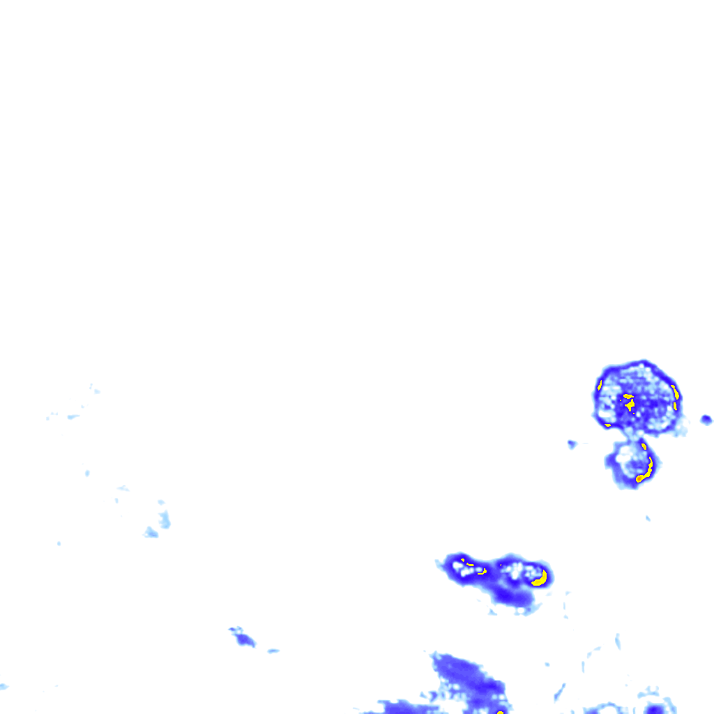 Image Layer