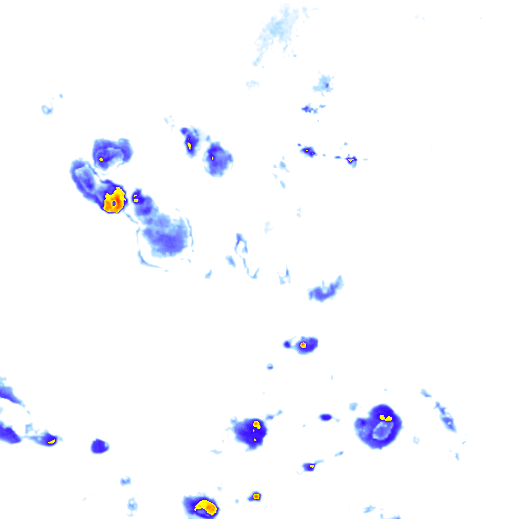 rainLayer