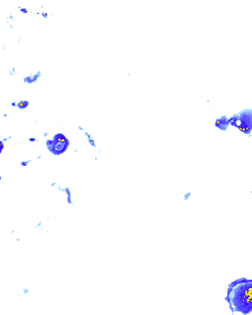 rainLayer