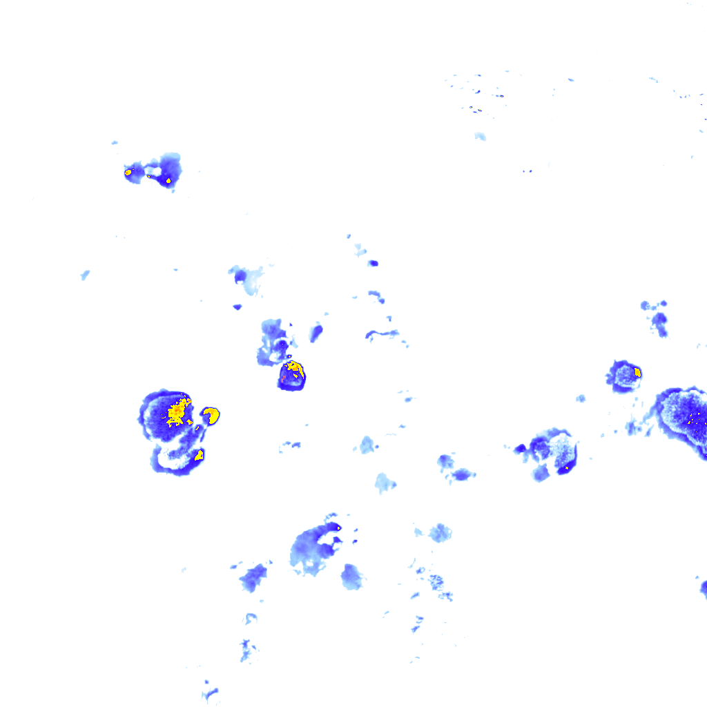 Image Layer