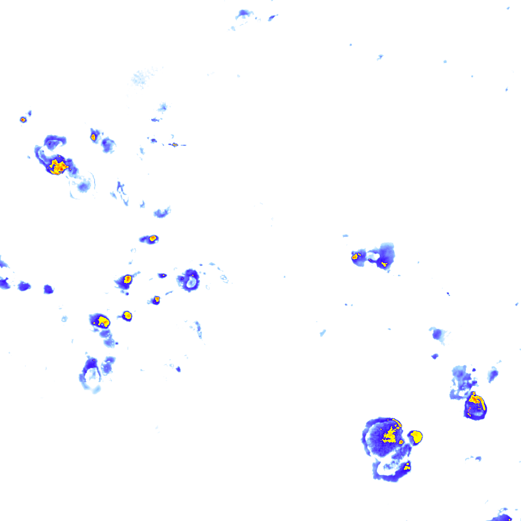 rainLayer