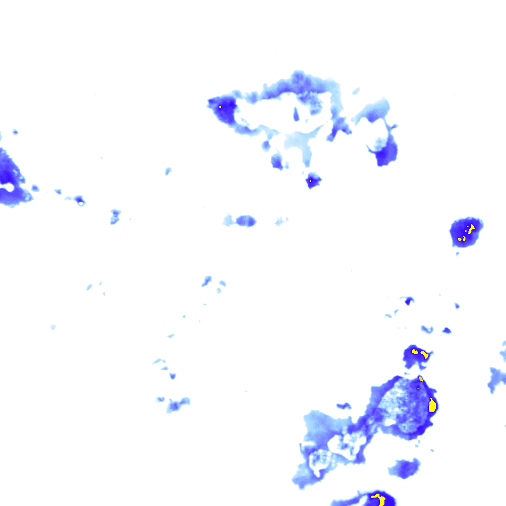 rainLayer