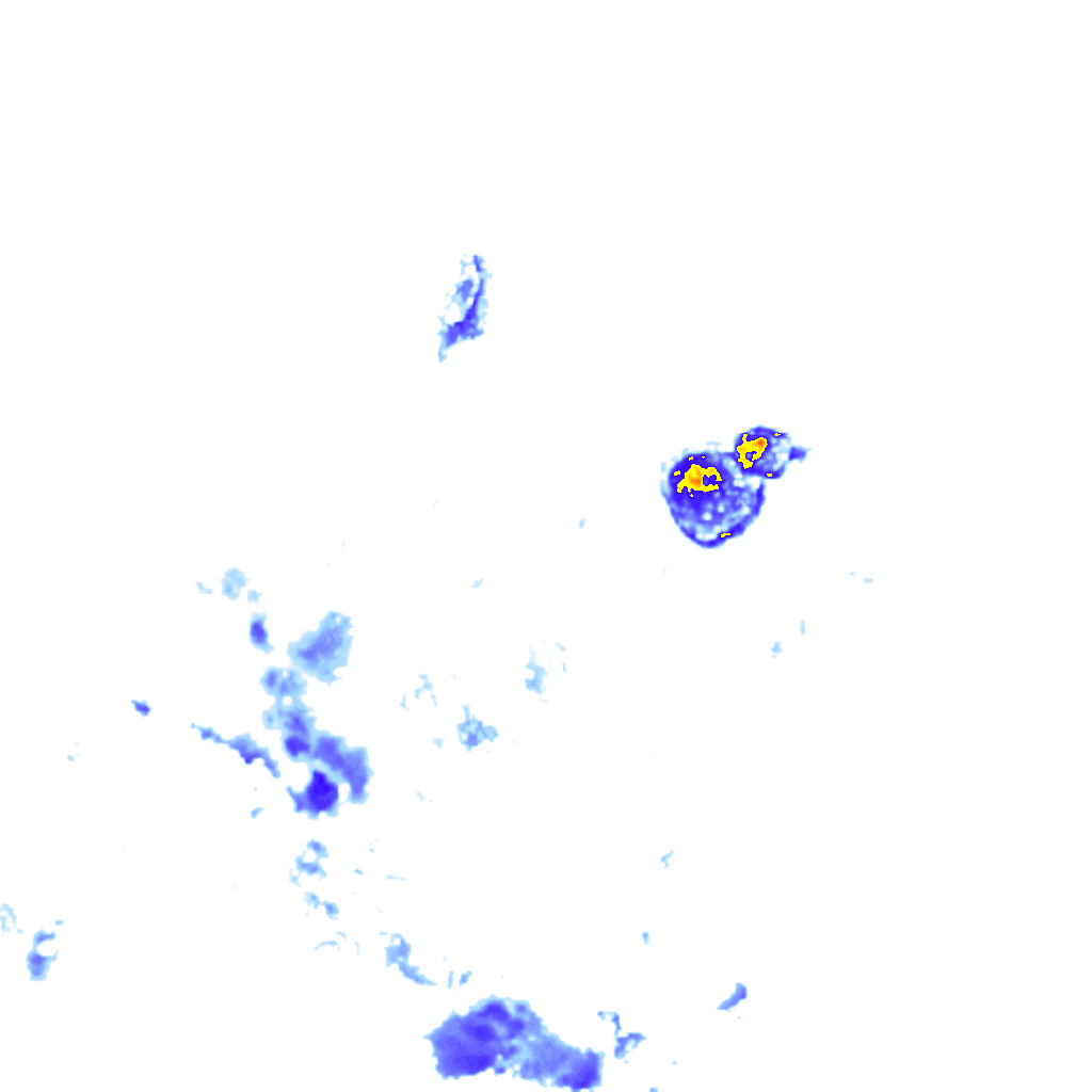 Image Layer