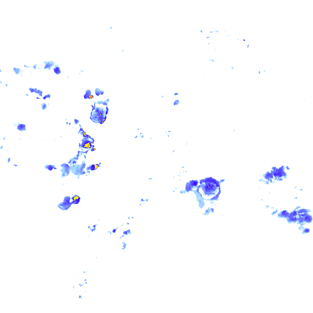 rainLayer