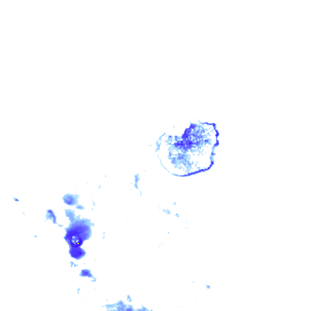 Image Layer