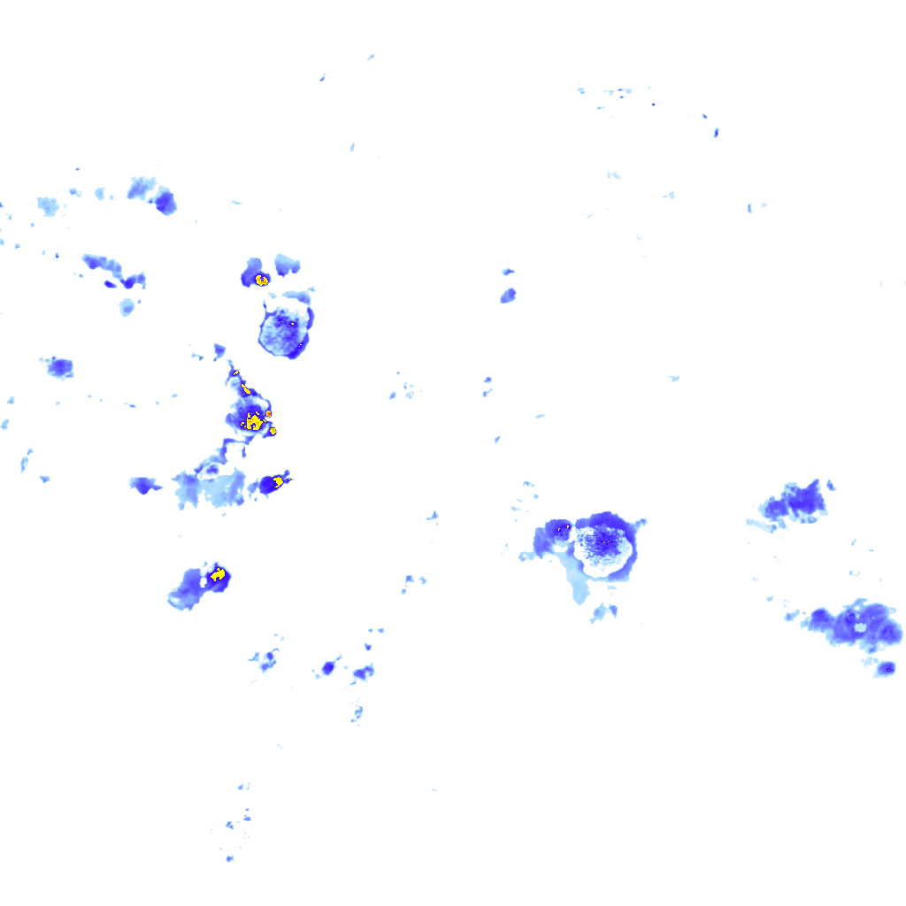 rainLayer