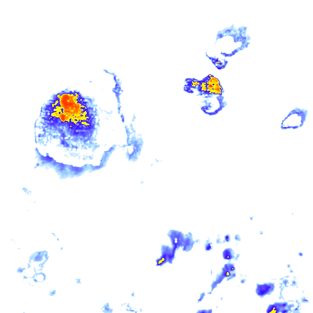 rainLayer