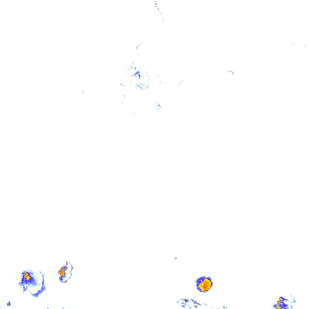 rainLayer