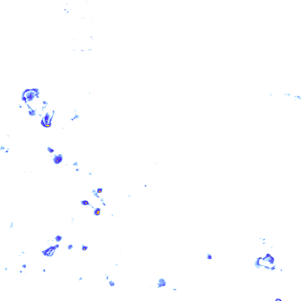 rainLayer