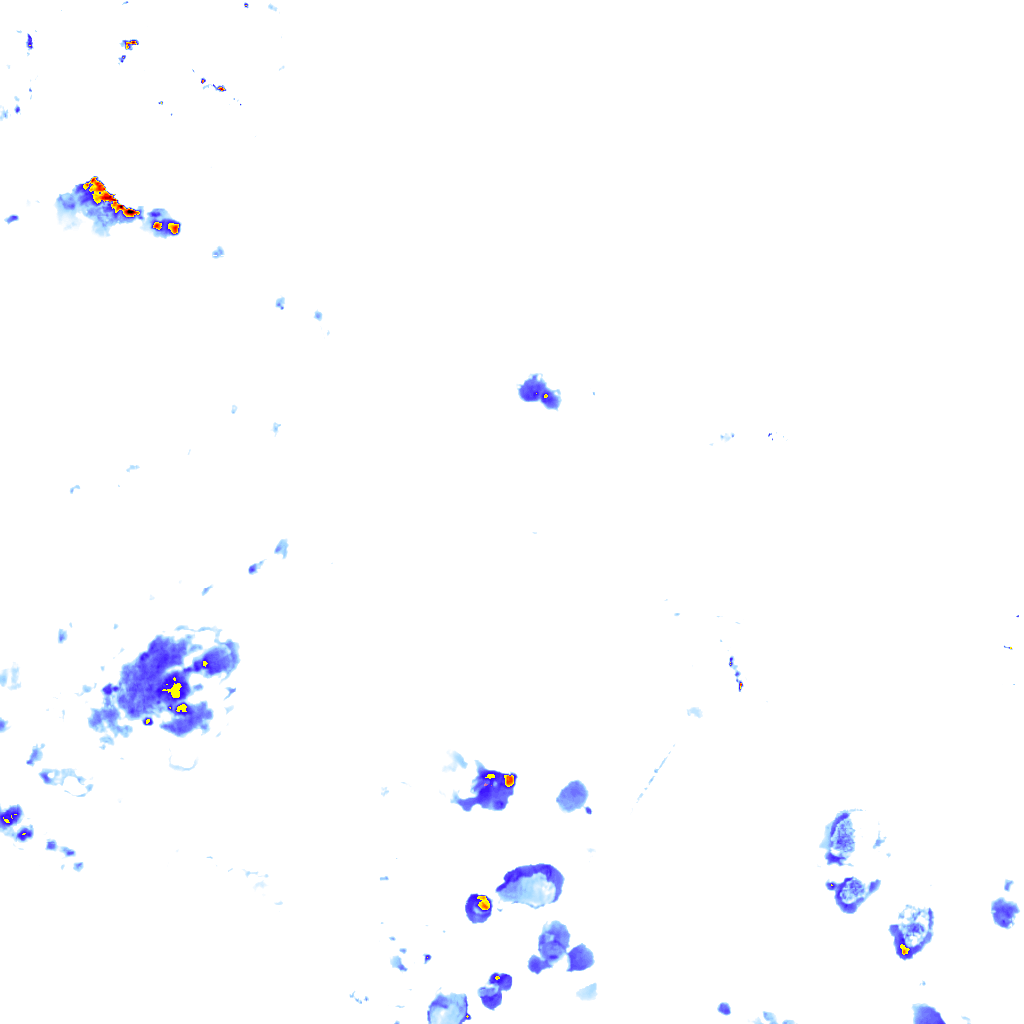 rainLayer