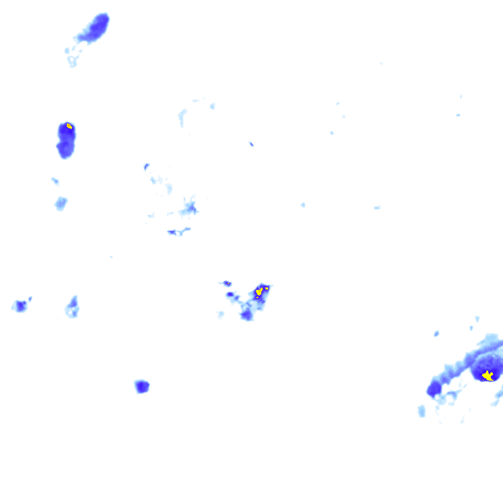 rainLayer