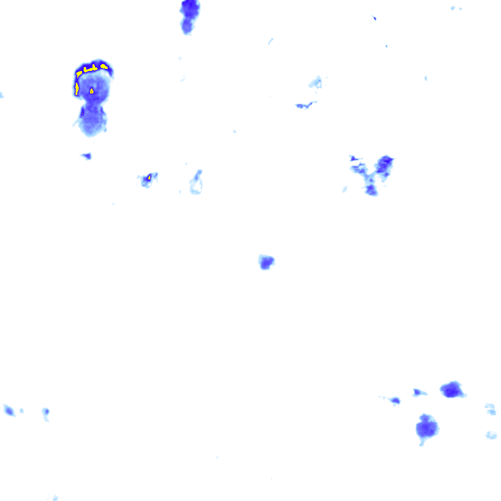 rainLayer
