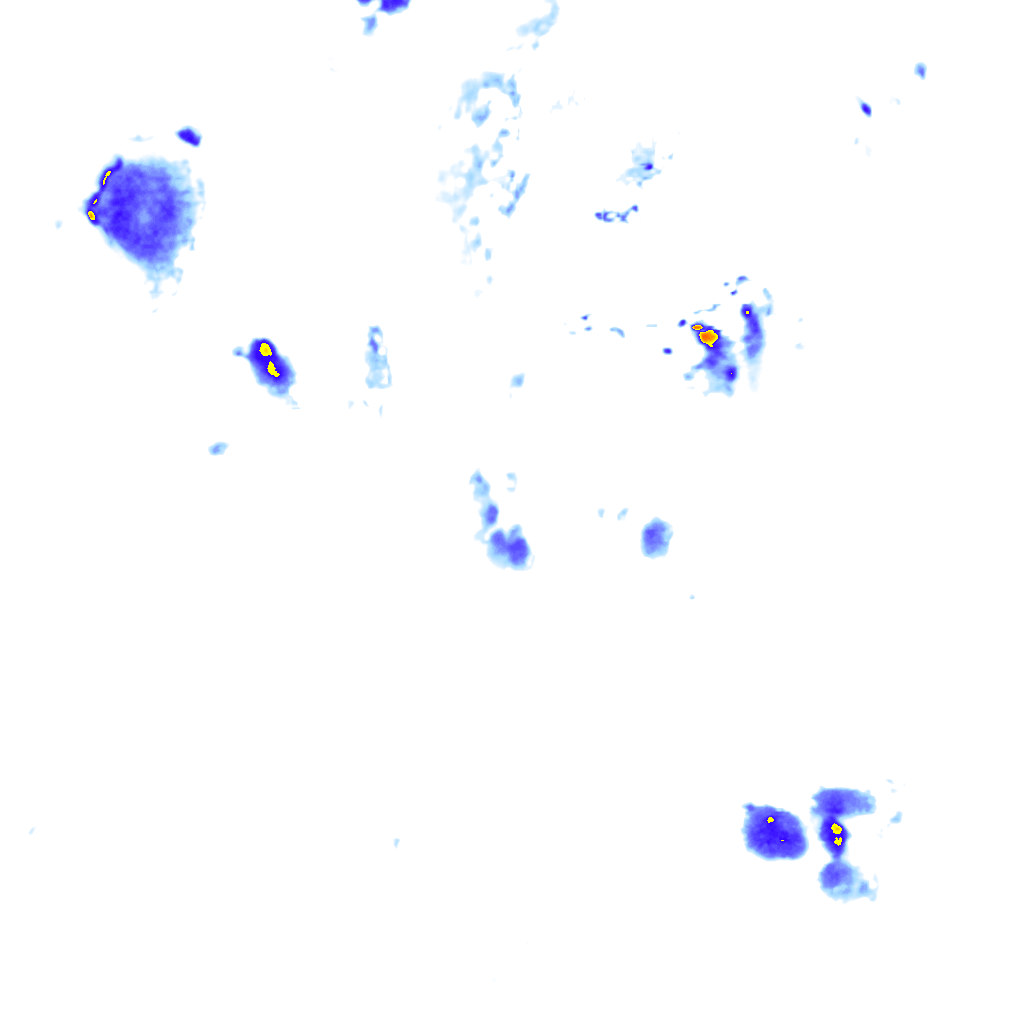 rainLayer