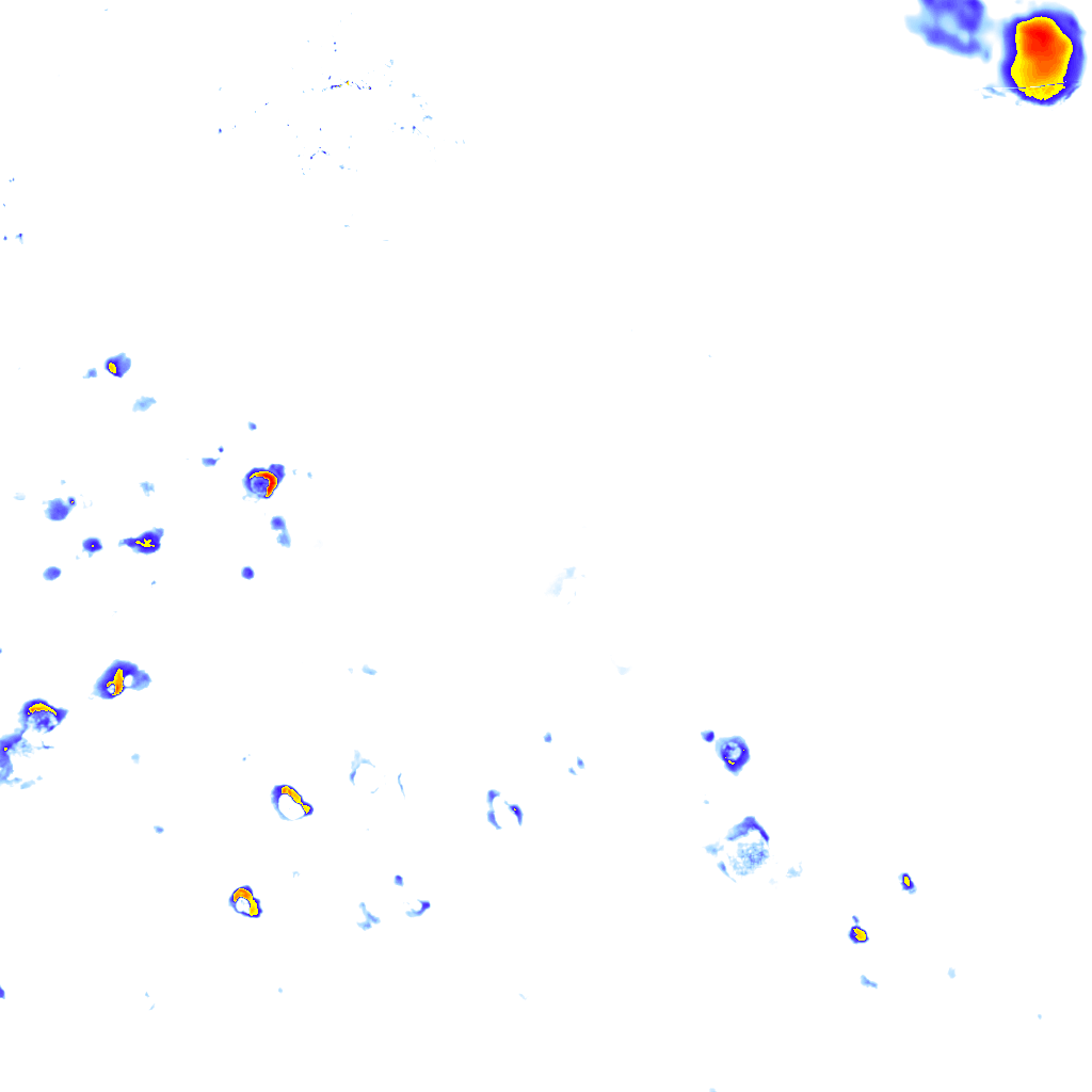 rainLayer