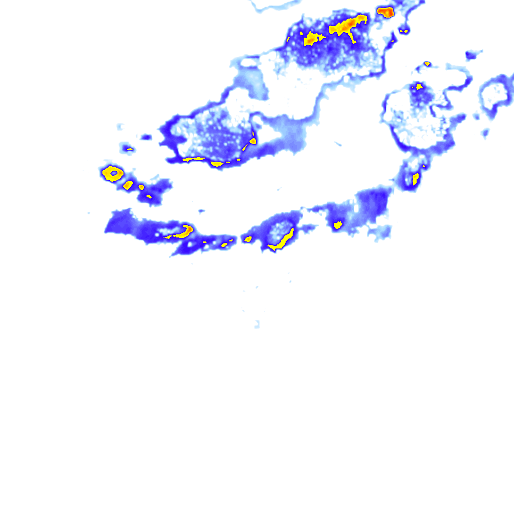 rainLayer