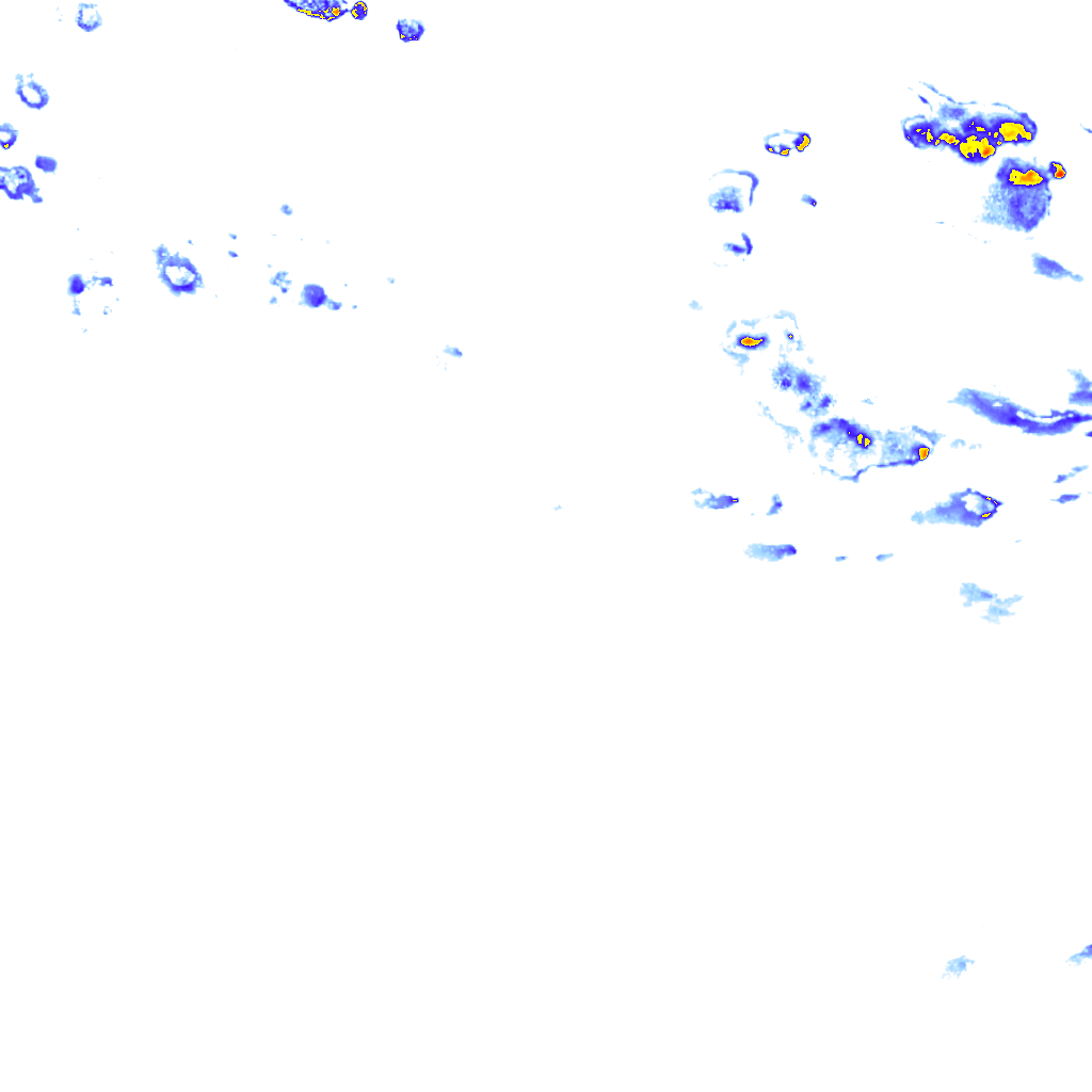 rainLayer