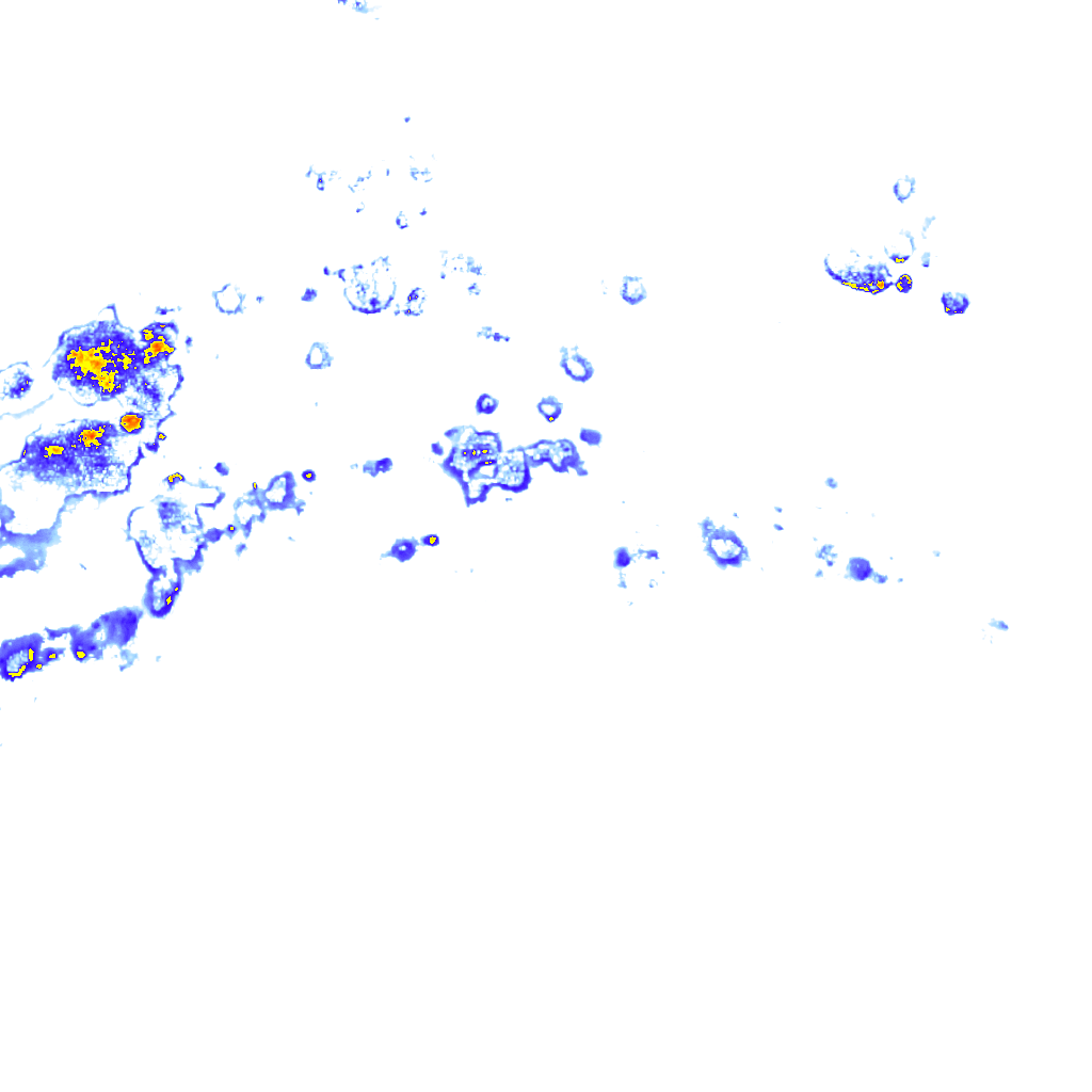 rainLayer