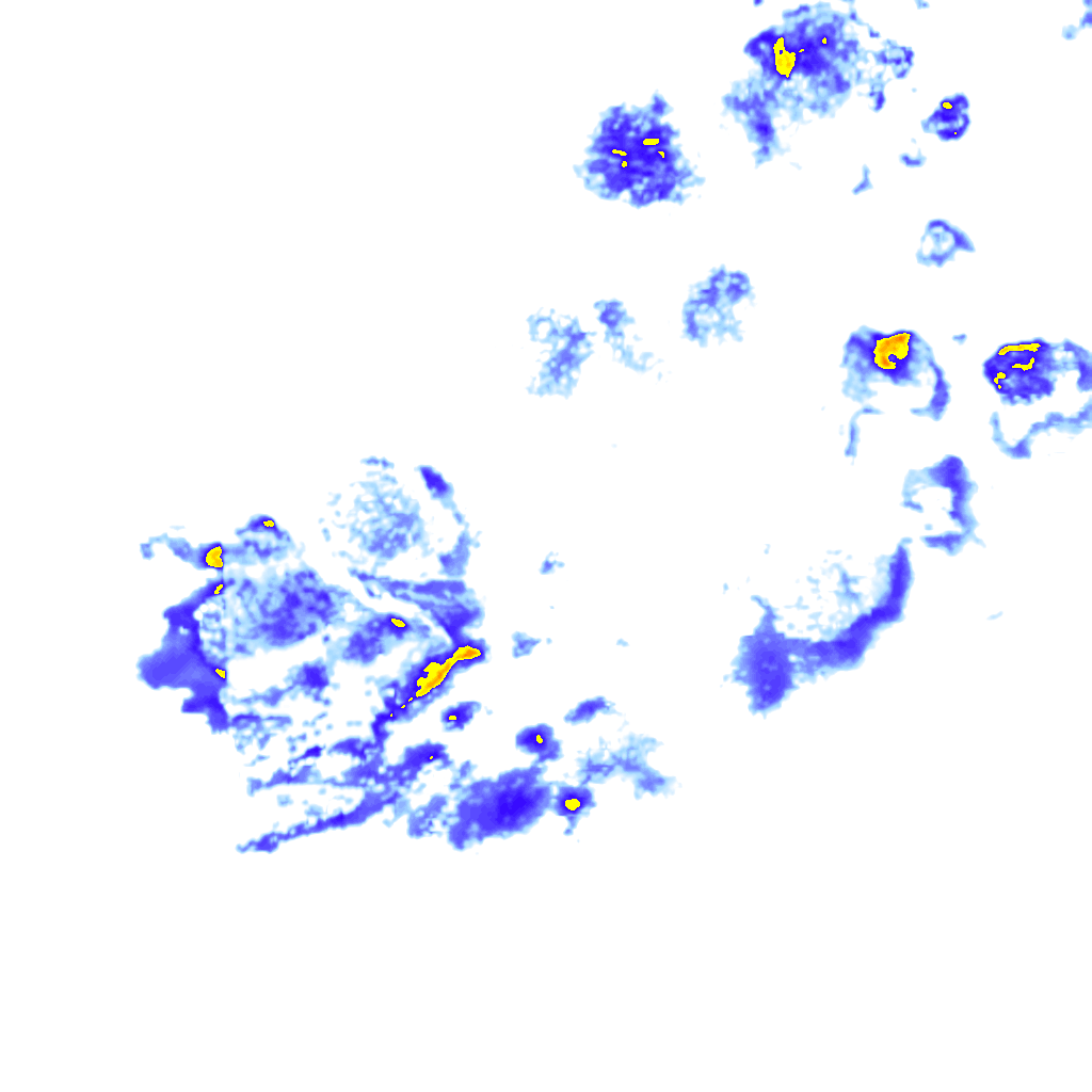 rainLayer