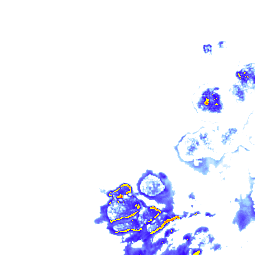 Image Layer