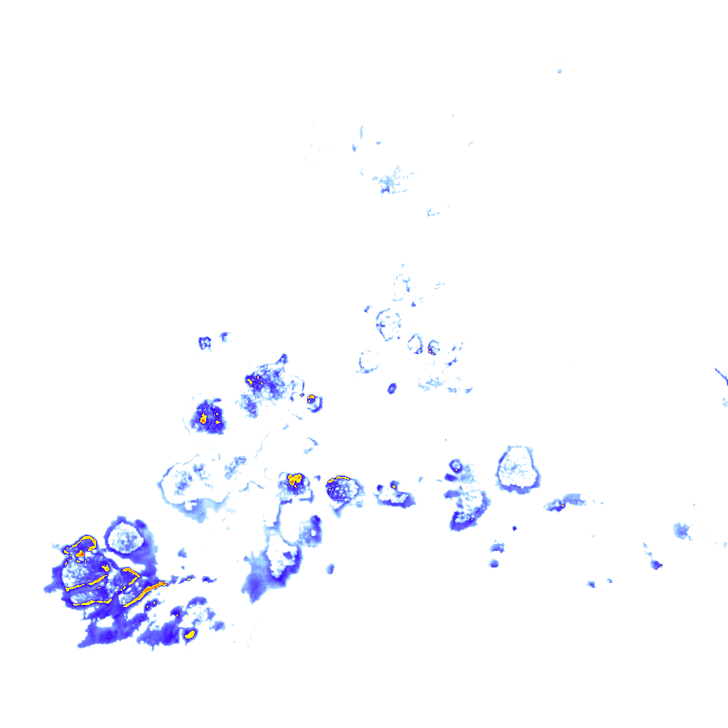 rainLayer