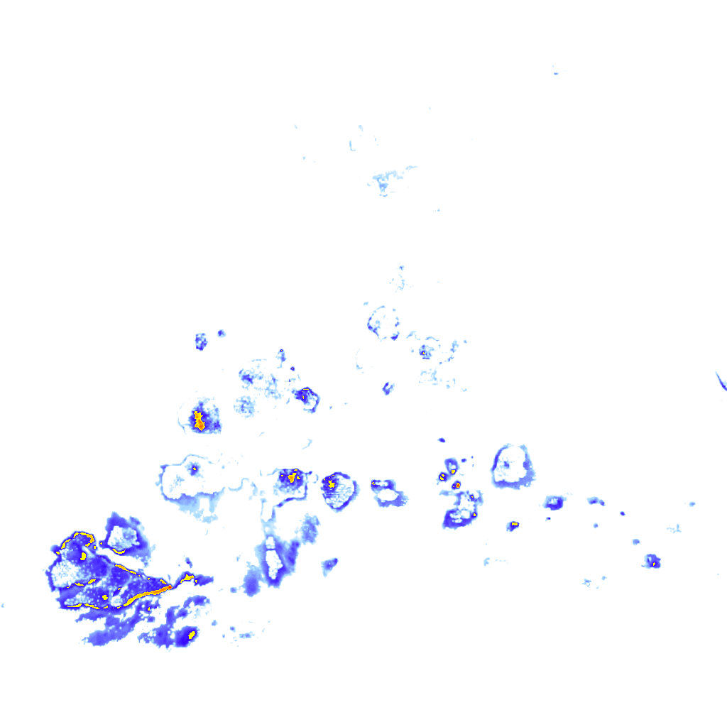 rainLayer