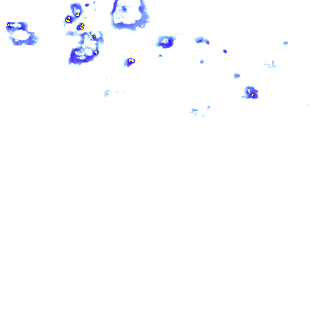 rainLayer