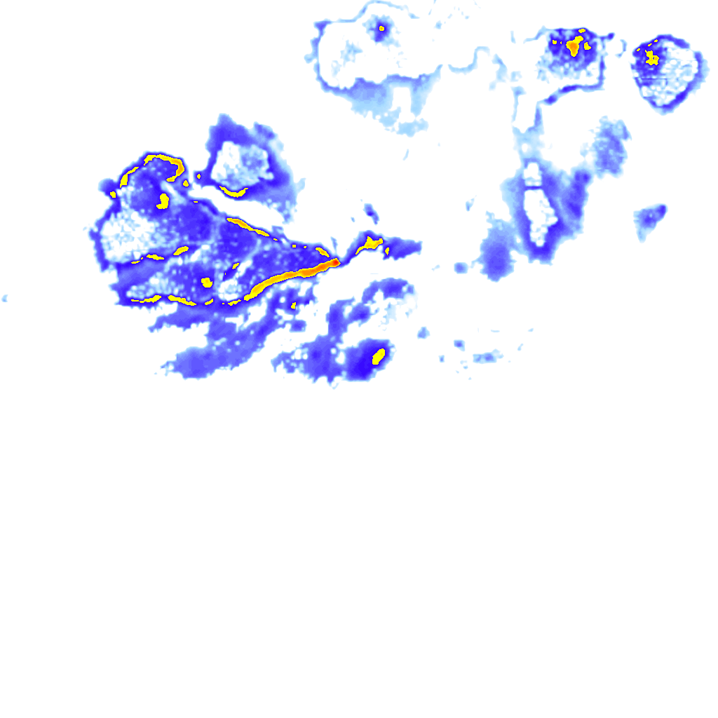 rainLayer