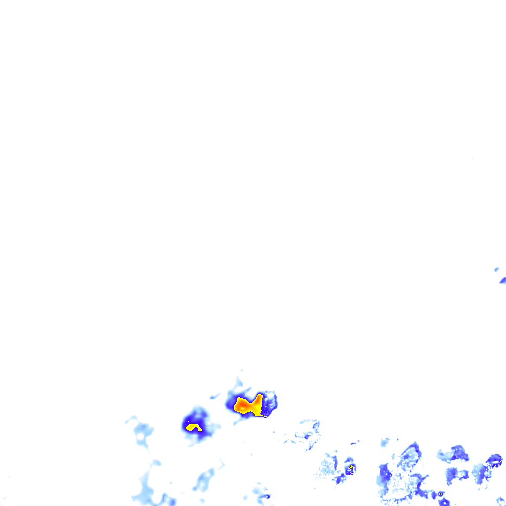 rainLayer