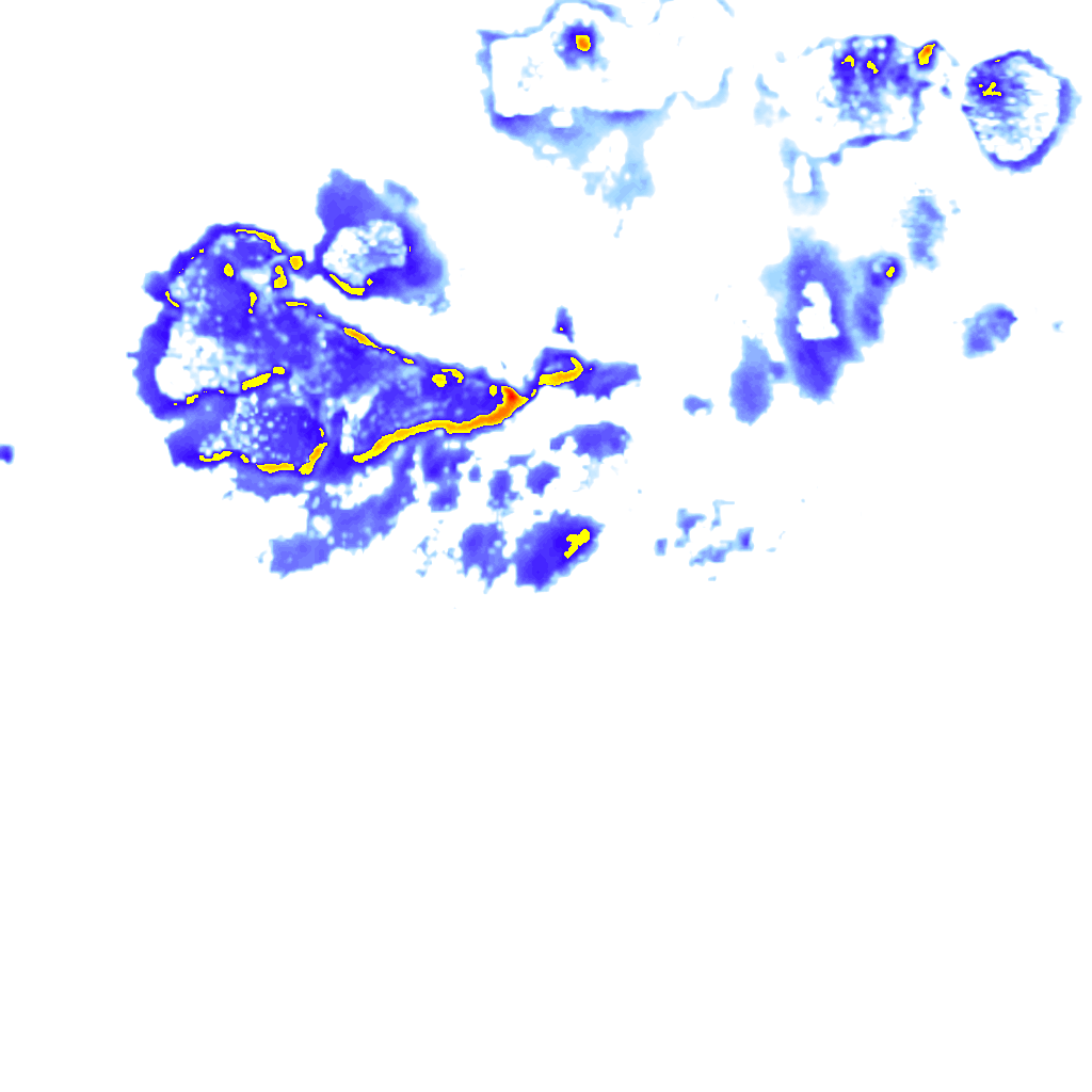rainLayer
