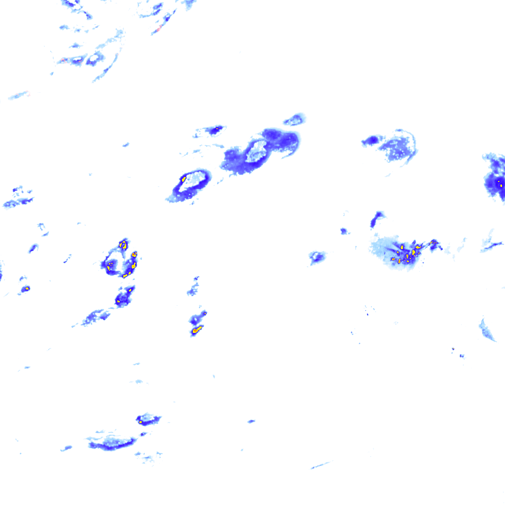 rainLayer