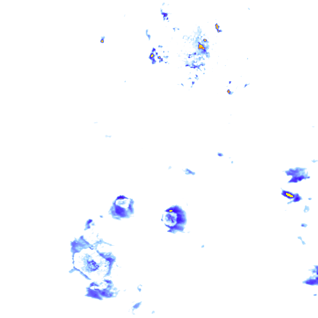rainLayer