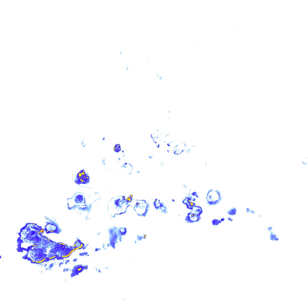 Image Layer