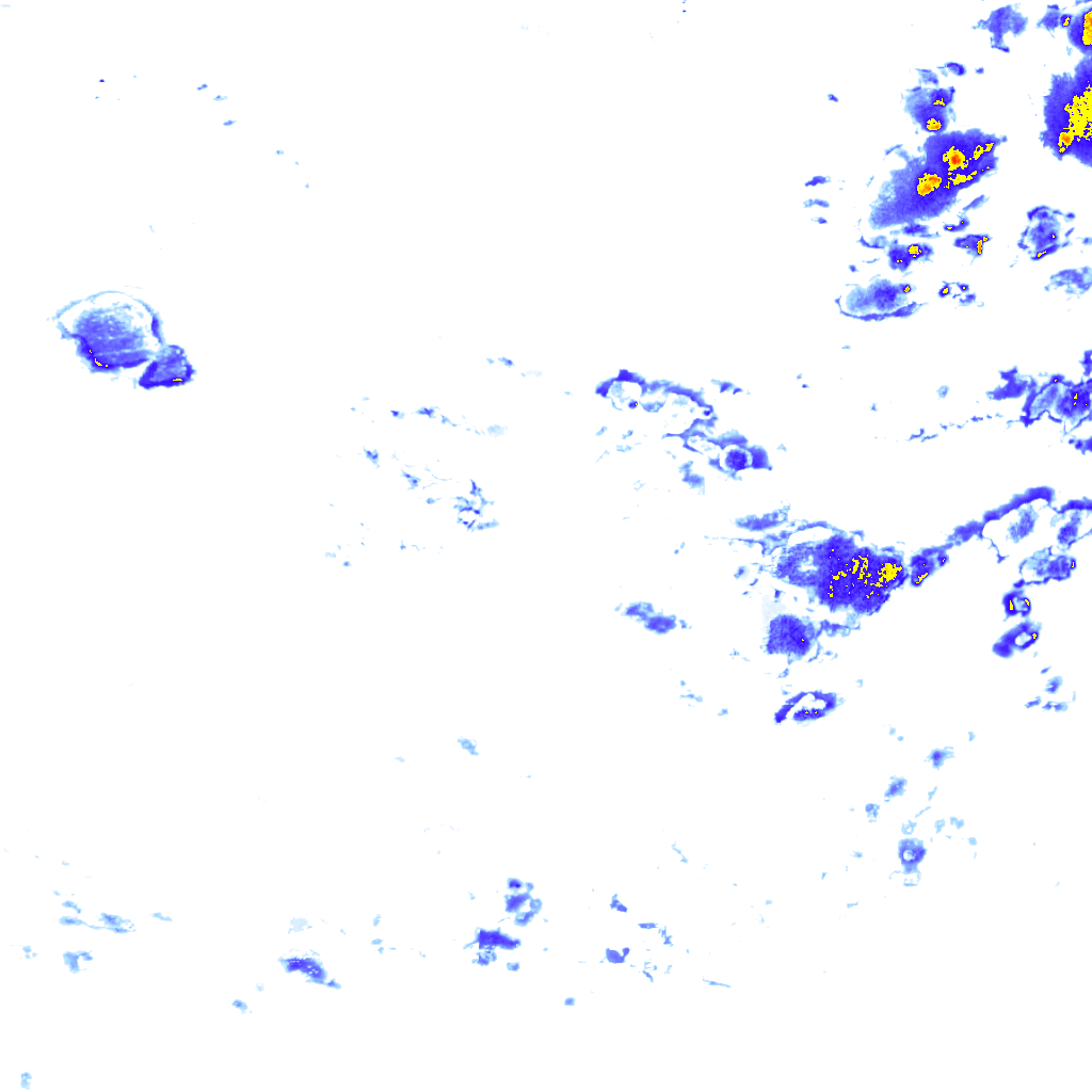rainLayer