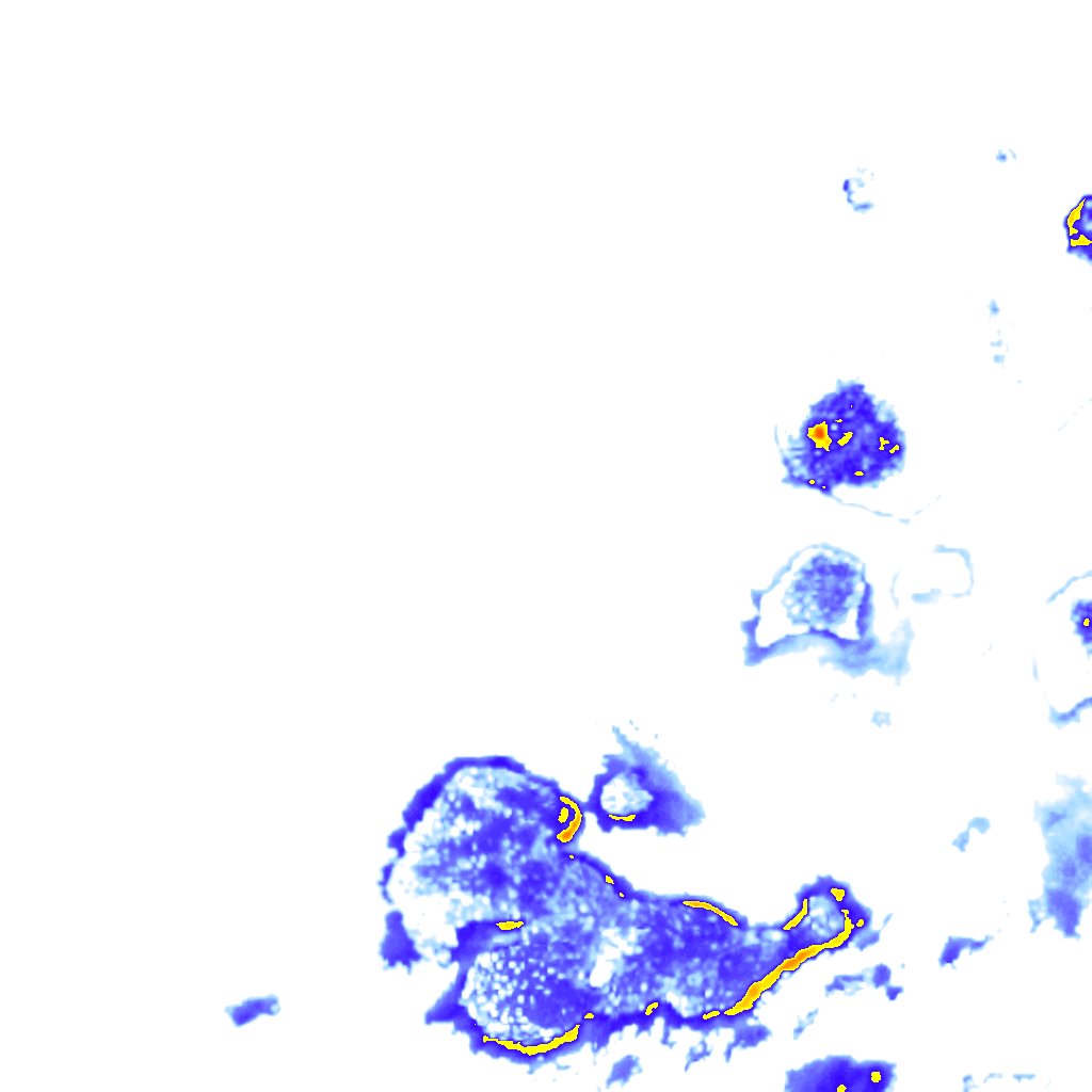 Image Layer