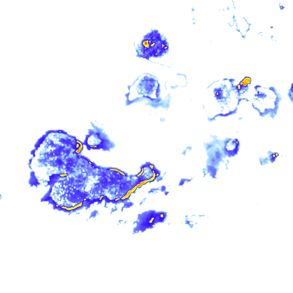 Image Layer