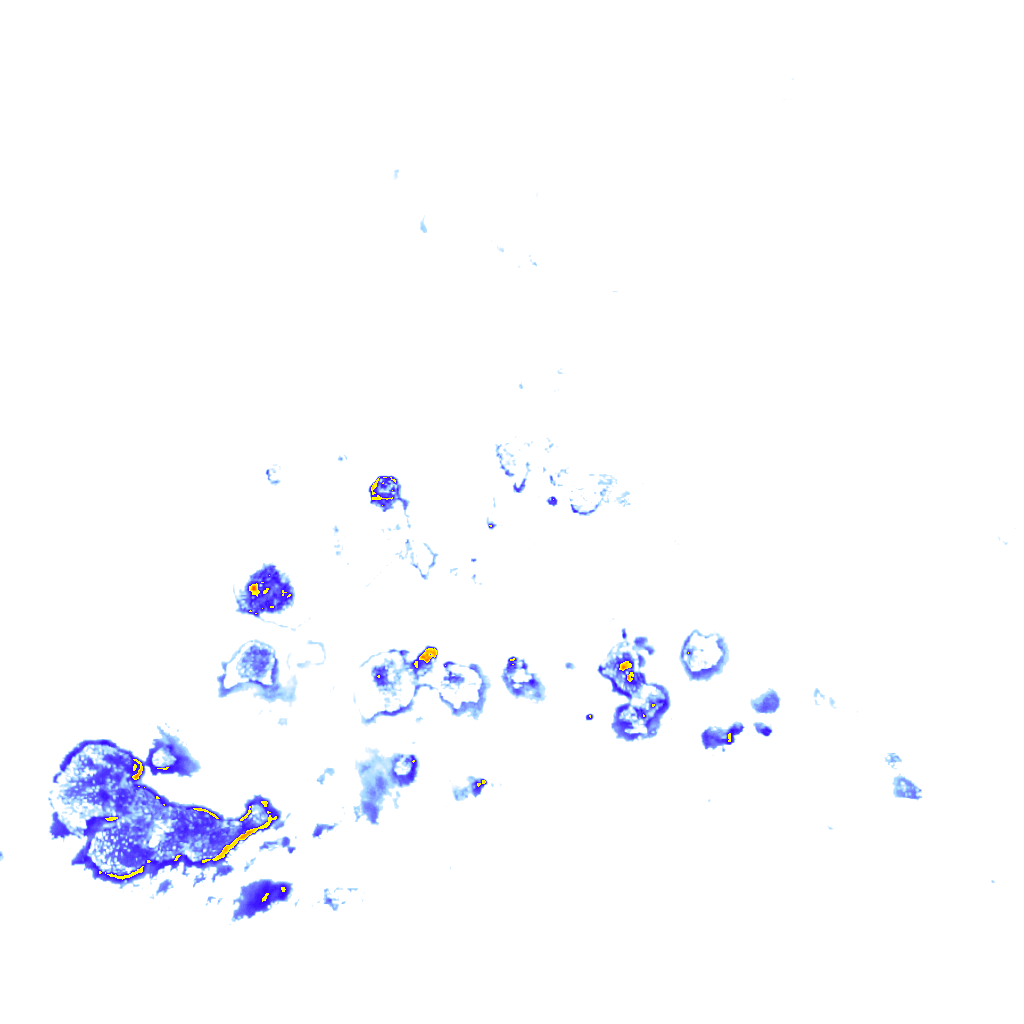 rainLayer