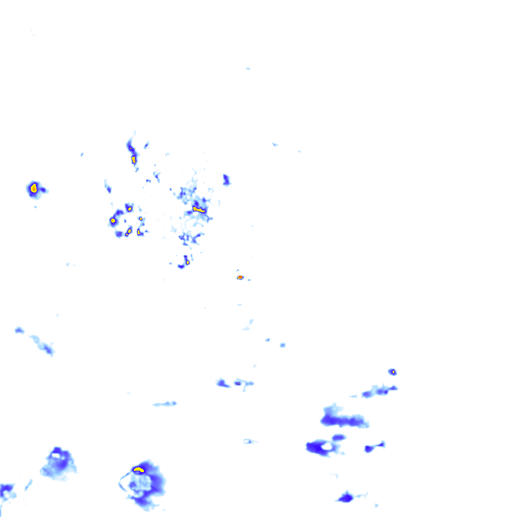 rainLayer
