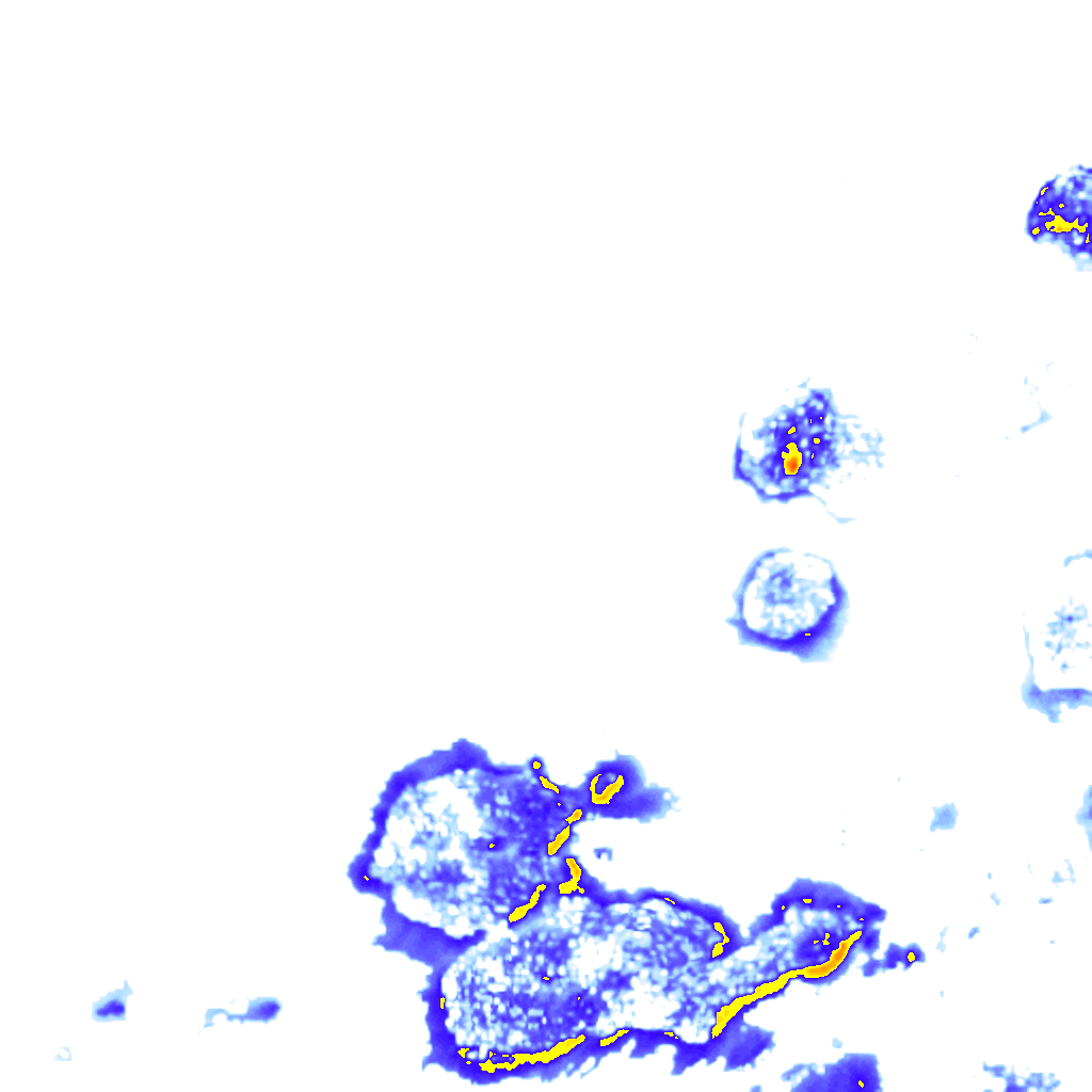 rainLayer