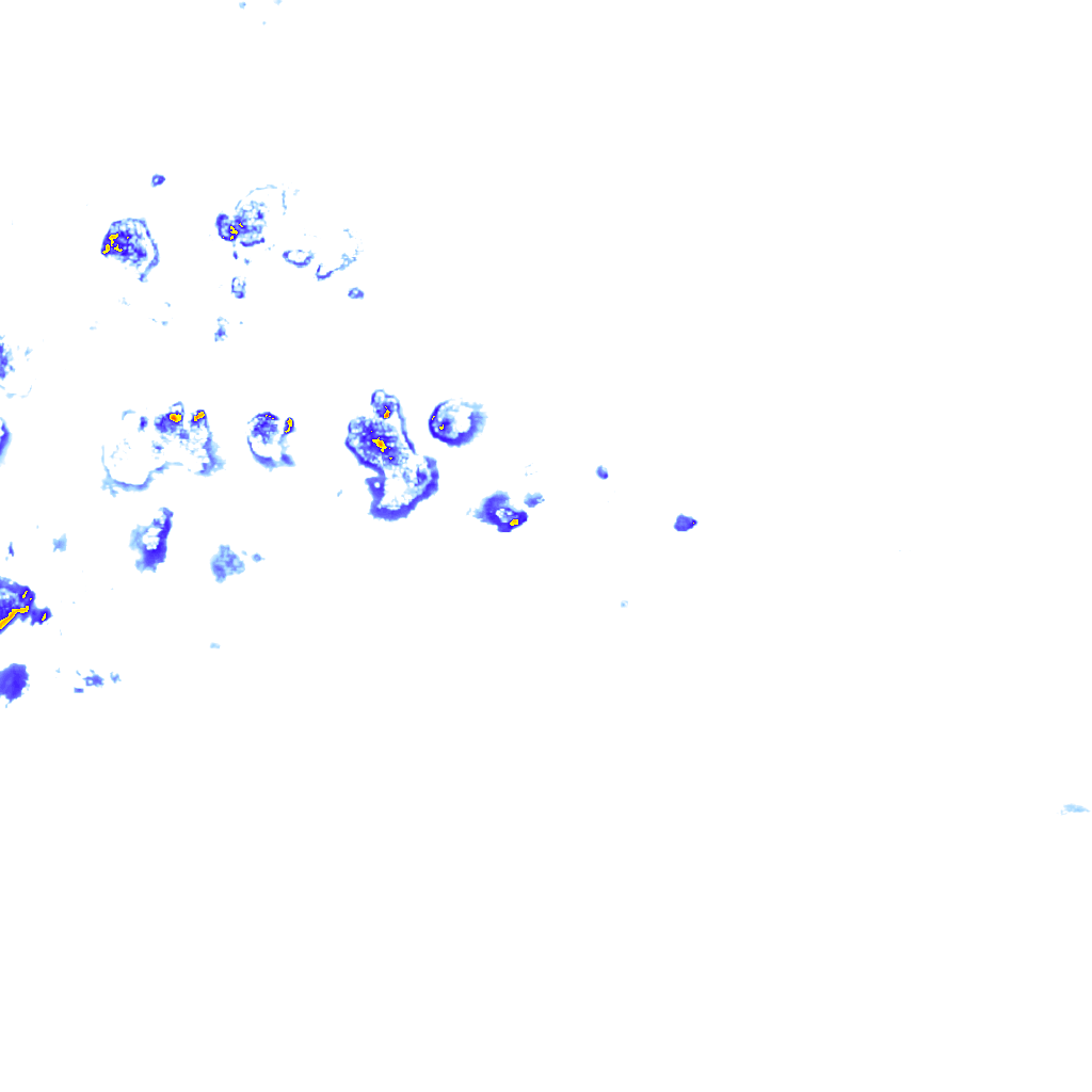 rainLayer