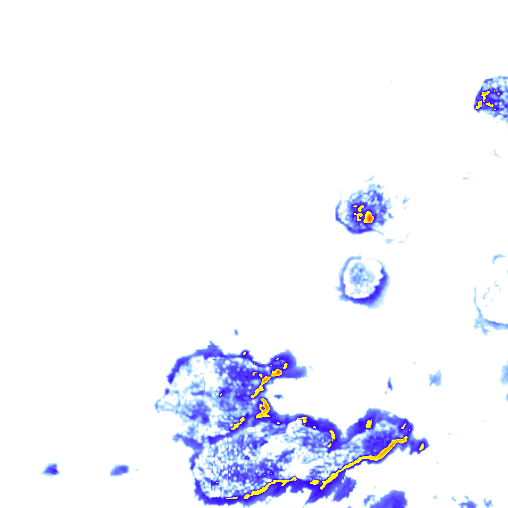 Image Layer